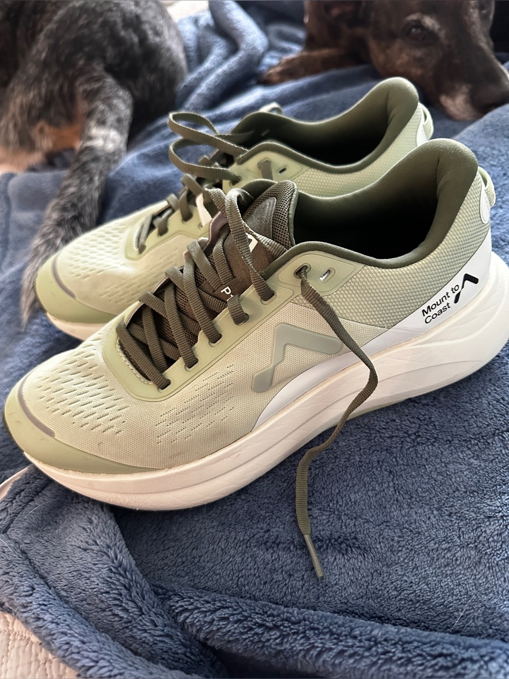 Agave colored  Mount to Coast p1 Running Shoes 9.5